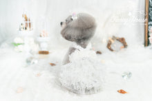 Load image into Gallery viewer, Sequin Tulle Gown