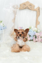 Load image into Gallery viewer, Sequin Tulle Gown