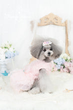 Load image into Gallery viewer, Mesh Tulle Gown