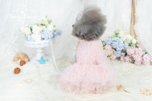 Load image into Gallery viewer, Mesh Tulle Gown