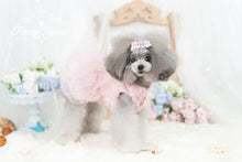 Load image into Gallery viewer, Mesh Tulle Gown