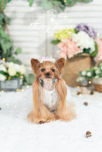 Load image into Gallery viewer, Mesh Tulle Gown