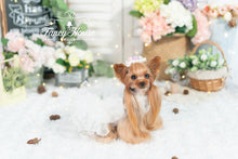 Load image into Gallery viewer, Mesh Tulle Gown