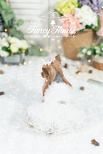 Load image into Gallery viewer, Mesh Tulle Gown