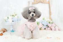 Load image into Gallery viewer, Mesh Tulle Gown