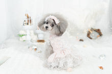 Load image into Gallery viewer, Moonlight Lace Up Gown