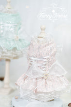 Load image into Gallery viewer, Moonlight Lace Up Gown