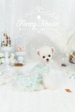 Load image into Gallery viewer, Moonlight Lace Up Gown