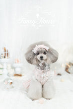 Load image into Gallery viewer, Moonlight Lace Up Gown