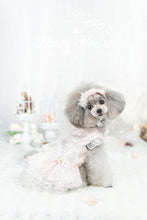 Load image into Gallery viewer, Moonlight Lace Up Gown