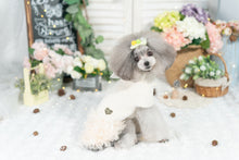 Load image into Gallery viewer, Sweater Mesh Dress