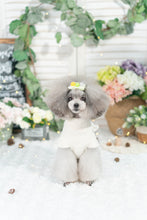 Load image into Gallery viewer, Sweater Mesh Dress