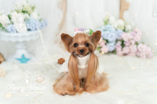 Load image into Gallery viewer, Bows Sweater Dress