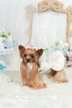 Load image into Gallery viewer, Bows Sweater Dress