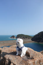 Load image into Gallery viewer, Frayed Denim Dress