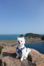 Load image into Gallery viewer, Frayed Denim Dress