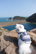 Load image into Gallery viewer, Frayed Denim Dress