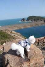 Load image into Gallery viewer, Frayed Denim Dress