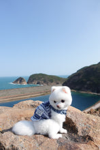 Load image into Gallery viewer, Frayed Denim Dress