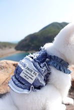 Load image into Gallery viewer, Frayed Denim Dress