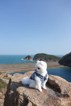 Load image into Gallery viewer, Frayed Denim Dress