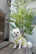 Load image into Gallery viewer, Cherry Print Frill Dress