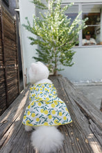 Load image into Gallery viewer, Cherry Print Frill Dress