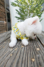 Load image into Gallery viewer, Cherry Print Frill Dress