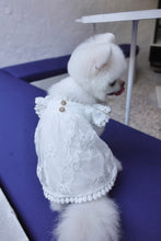 Load image into Gallery viewer, Floral Lace Trim Dress