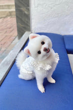 Load image into Gallery viewer, Floral Lace Trim Dress