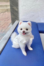 Load image into Gallery viewer, Floral Lace Trim Dress