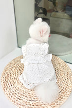 Load image into Gallery viewer, Broderie Ruffle Trim Dress