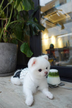 Load image into Gallery viewer, City Girl Hybrid Dress