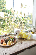 Load image into Gallery viewer, Bow Print Ribbon Dress