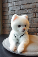 Load image into Gallery viewer, City Girl Hybrid Dress