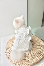 Load image into Gallery viewer, Broderie Ruffle Trim Dress