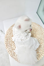 Load image into Gallery viewer, Broderie Ruffle Trim Dress