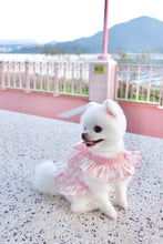 Load image into Gallery viewer, Bow Print Ribbon Dress