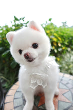 Load image into Gallery viewer, Sequin Tulle Gown