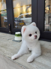 Load image into Gallery viewer, City Girl Hybrid Dress