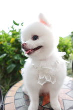 Load image into Gallery viewer, Sequin Tulle Gown