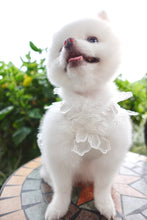 Load image into Gallery viewer, Sequin Tulle Gown