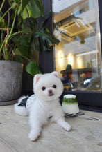 Load image into Gallery viewer, City Girl Hybrid Dress