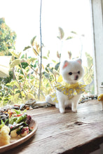 Load image into Gallery viewer, Bow Print Ribbon Dress