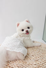 Load image into Gallery viewer, Broderie Ruffle Trim Dress