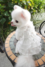 Load image into Gallery viewer, Sequin Tulle Gown