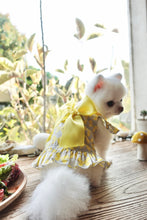 Load image into Gallery viewer, Bow Print Ribbon Dress