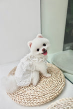 Load image into Gallery viewer, Broderie Ruffle Trim Dress