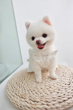 Load image into Gallery viewer, Broderie Ruffle Trim Dress