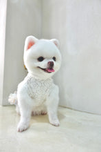 Load image into Gallery viewer, Dancing Flowers Tweed Dress